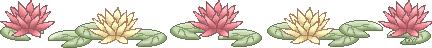 flowerbanner.jpg